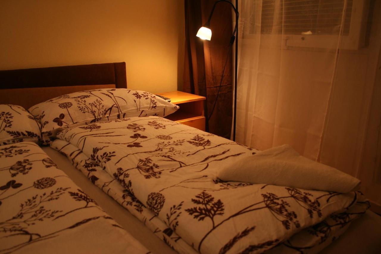 Victor Hugo Central Apartment 布达佩斯 外观 照片